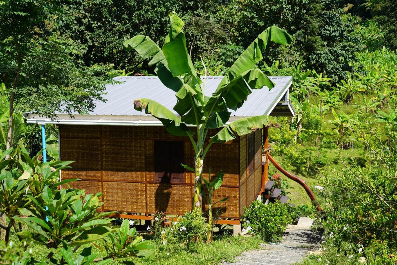True Nature Chiang Mai - Yoga & Meditation Homestay Retreat מראה חיצוני תמונה