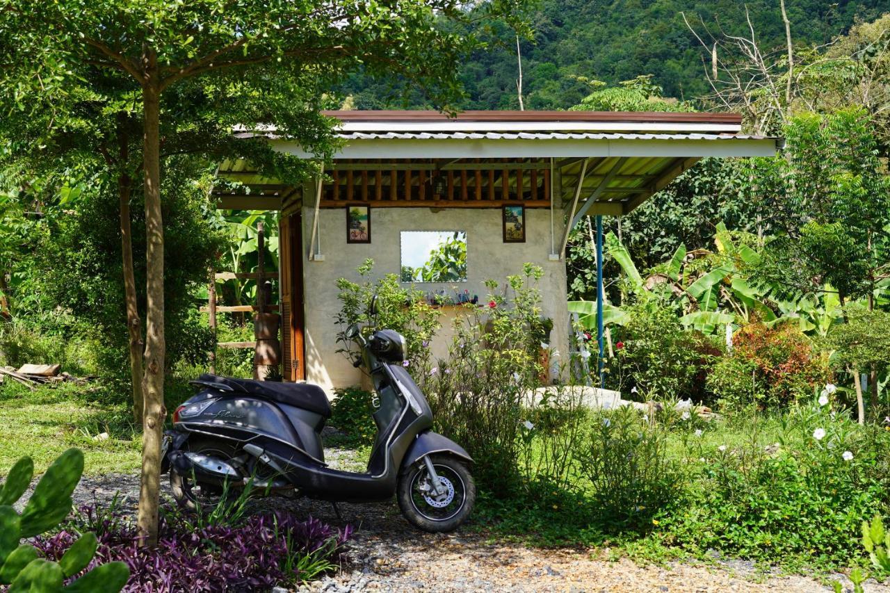 True Nature Chiang Mai - Yoga & Meditation Homestay Retreat מראה חיצוני תמונה