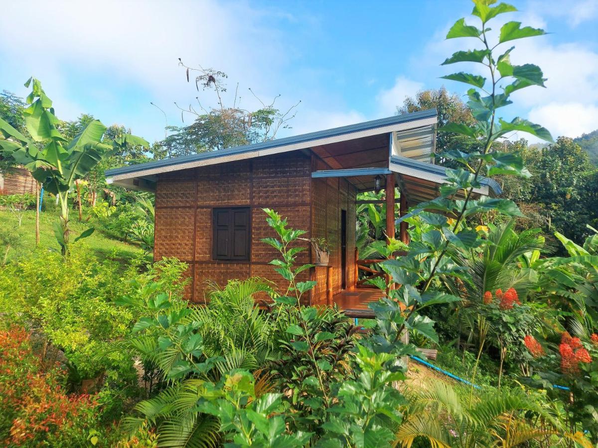 True Nature Chiang Mai - Yoga & Meditation Homestay Retreat מראה חיצוני תמונה