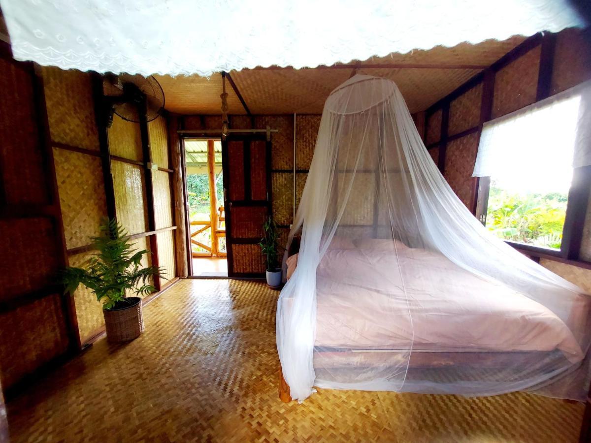 True Nature Chiang Mai - Yoga & Meditation Homestay Retreat מראה חיצוני תמונה